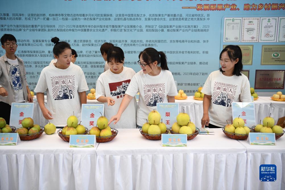 梭哈软件下载